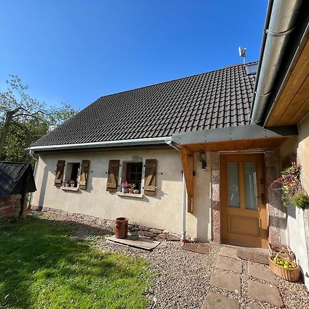 Klimatyczny Dom Kopaczowka Przytulna Miejscowka Z Kominkiem, Sauna I Ogrodem U Podnoza Gor Stolowych Radkow Dış mekan fotoğraf