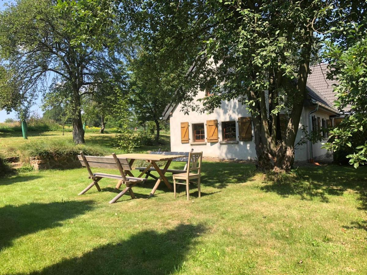 Klimatyczny Dom Kopaczowka Przytulna Miejscowka Z Kominkiem, Sauna I Ogrodem U Podnoza Gor Stolowych Radkow Dış mekan fotoğraf