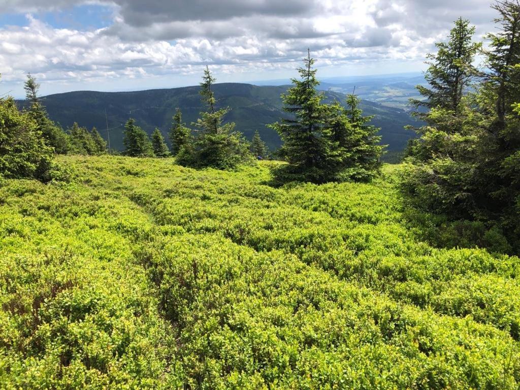 Klimatyczny Dom Kopaczowka Przytulna Miejscowka Z Kominkiem, Sauna I Ogrodem U Podnoza Gor Stolowych Radkow Dış mekan fotoğraf