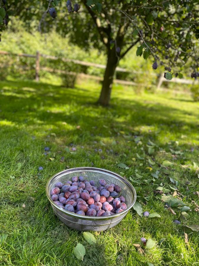 Klimatyczny Dom Kopaczowka Przytulna Miejscowka Z Kominkiem, Sauna I Ogrodem U Podnoza Gor Stolowych Radkow Dış mekan fotoğraf